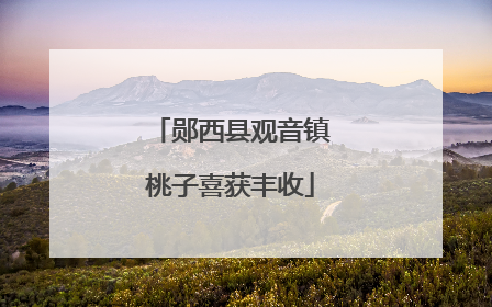 郧西县观音镇桃子喜获丰收