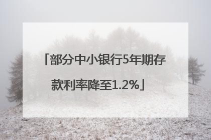 部分中小银行5年期存款利率降至1.2%