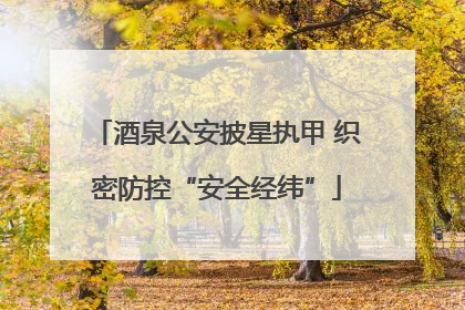 酒泉公安披星执甲 织密防控“安全经纬”