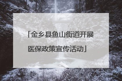 金乡县鱼山街道开展医保政策宣传活动