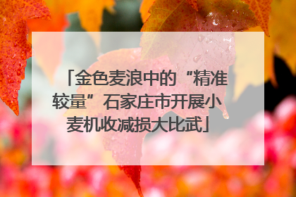 金色麦浪中的“精准较量”石家庄市开展小麦机收减损大比武