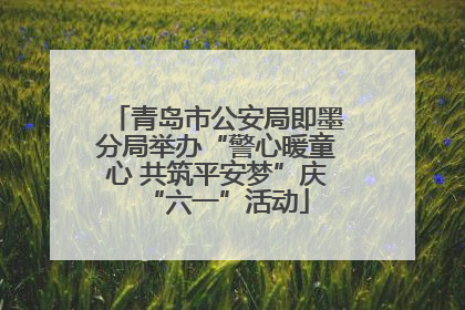 青岛市公安局即墨分局举办“警心暖童心 共筑平安梦”庆“六一”活动