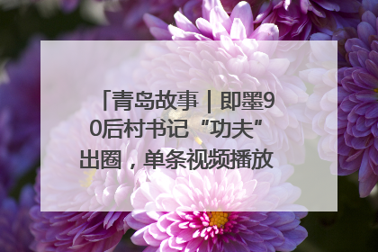 青岛故事｜即墨90后村书记“功夫”出圈，单条视频播放量过600万