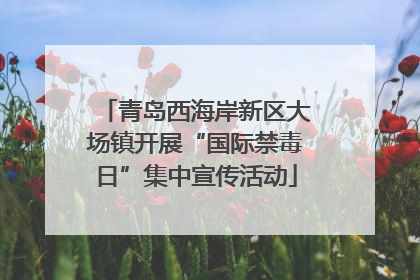 青岛西海岸新区大场镇开展“国际禁毒日”集中宣传活动