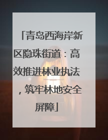 青岛西海岸新区隐珠街道：高效推进林业执法，筑牢林地安全屏障