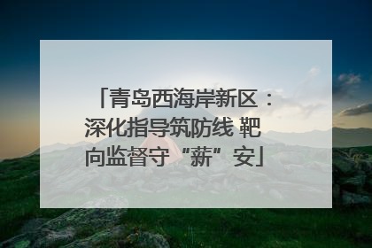 青岛西海岸新区：深化指导筑防线 靶向监督守“薪”安