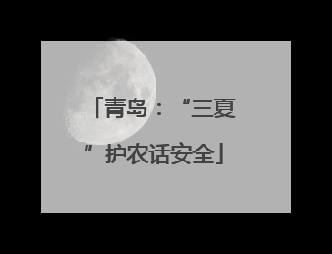 青岛：“三夏”护农话安全