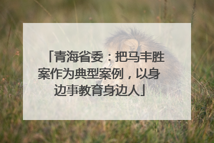 青海省委：把马丰胜案作为典型案例，以身边事教育身边人