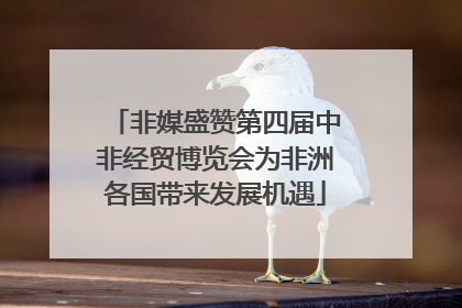 非媒盛赞第四届中非经贸博览会为非洲各国带来发展机遇
