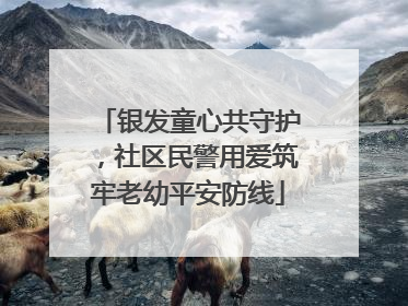 银发童心共守护，社区民警用爱筑牢老幼平安防线