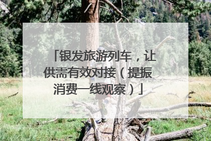 银发旅游列车，让供需有效对接（提振消费一线观察）