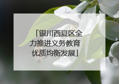 银川西夏区全力推进义务教育优质均衡发展