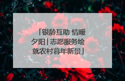 银龄互助 情暖夕阳│志愿服务绘就农村暮年新景