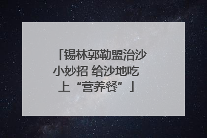 锡林郭勒盟治沙小妙招 给沙地吃上“营养餐”