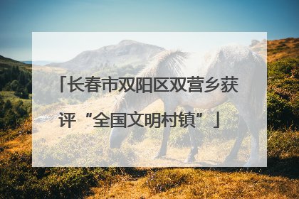 长春市双阳区双营乡获评“全国文明村镇”