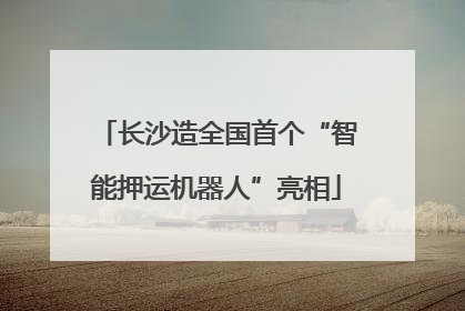 长沙造全国首个“智能押运机器人”亮相