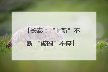 长泰：“上新”不断 “破圈”不停