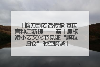 镰刀割麦话传承 基因育种启新程——第十届杨凌小麦文化节见证“颗粒归仓”时空跨越