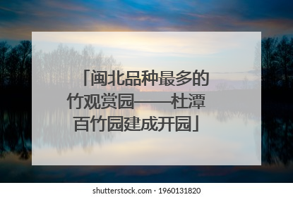 闽北品种最多的竹观赏园——杜潭百竹园建成开园
