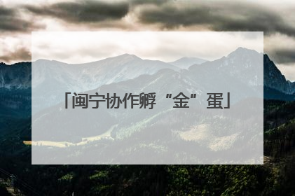 闽宁协作孵“金”蛋