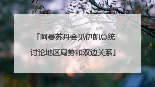 阿曼苏丹会见伊朗总统 讨论地区局势和双边关系