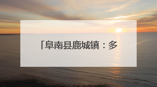 阜南县鹿城镇：多点发力 筑牢秸秆禁烧“防火墙”