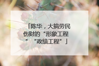 陈华，大搞劳民伤财的“形象工程”“政绩工程”
