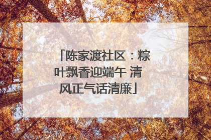 陈家渡社区：粽叶飘香迎端午 清风正气话清廉