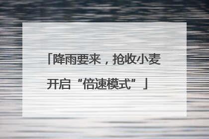 降雨要来，抢收小麦开启“倍速模式”