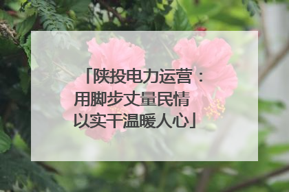 陕投电力运营：用脚步丈量民情 以实干温暖人心