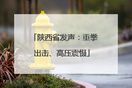 陕西省发声：重拳出击、高压震慑