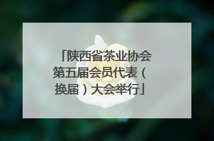 陕西省茶业协会第五届会员代表（换届）大会举行