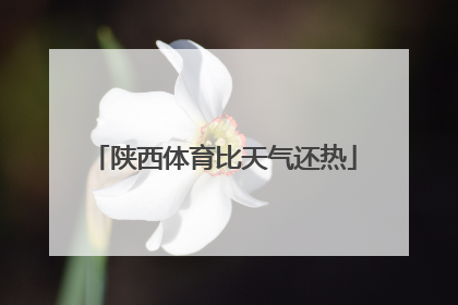 陕西体育比天气还热