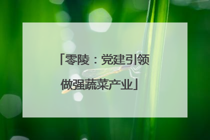 零陵：党建引领 做强蔬菜产业