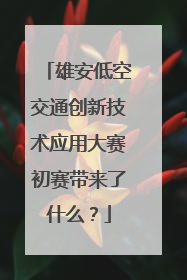 雄安低空交通创新技术应用大赛初赛带来了什么？