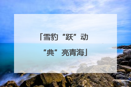 雪豹“跃”动 “典”亮青海
