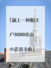 颍上一种粮大户3000余亩小麦喜丰收