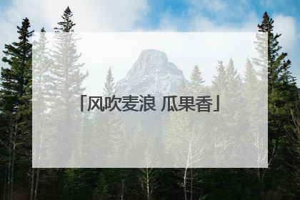 风吹麦浪 瓜果香