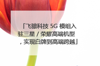 飞骧科技 5G 模组入驻三星 / 荣耀高端机型，实现白牌到高端跨越