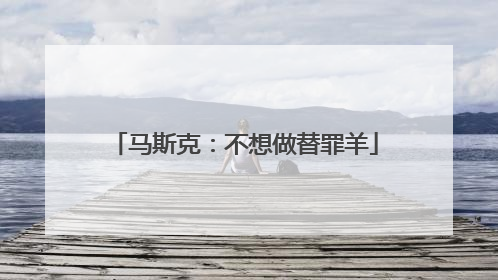 马斯克：不想做替罪羊