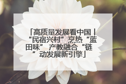 高质量发展看中国丨“民宿兴村”烹热“蓝田味” 产教融合“链”动发展新引擎
