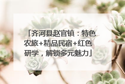 齐河县赵官镇：特色农旅+精品民宿+红色研学，解锁多元魅力