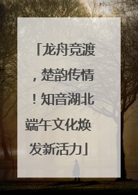 龙舟竞渡，楚韵传情！知音湖北端午文化焕发新活力