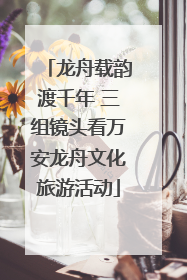 龙舟载韵渡千年 三组镜头看万安龙舟文化旅游活动