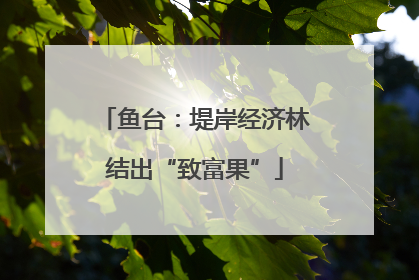 鱼台：堤岸经济林结出“致富果”