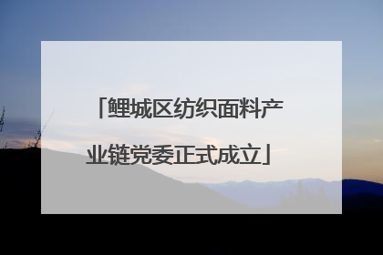 鲤城区纺织面料产业链党委正式成立