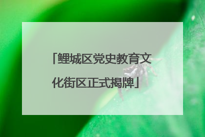 鲤城区党史教育文化街区正式揭牌