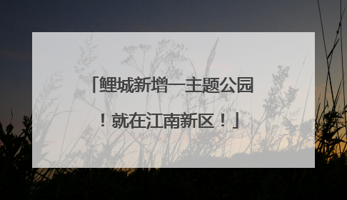 鲤城新增一主题公园！就在江南新区！