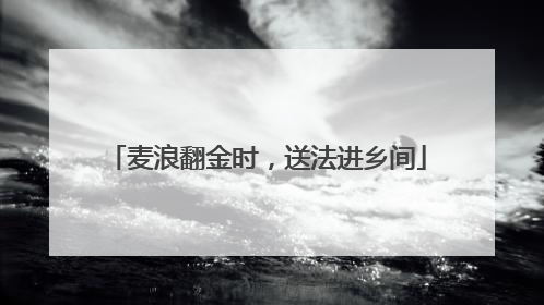 麦浪翻金时，送法进乡间