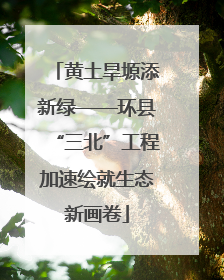 黄土旱塬添新绿——环县“三北”工程加速绘就生态新画卷